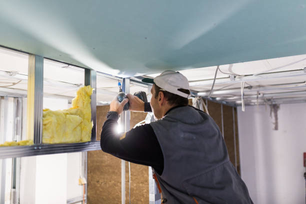 Best Cellulose Insulation in Cortland, OH